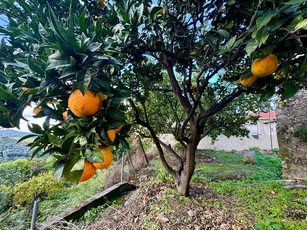 Дом на Корфу, Греция, 50 м² - фото 10