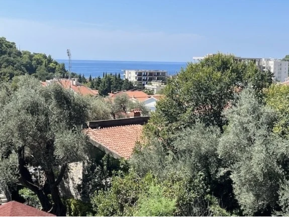 Квартира в Петроваце, Черногория, 71 м² - фото 6