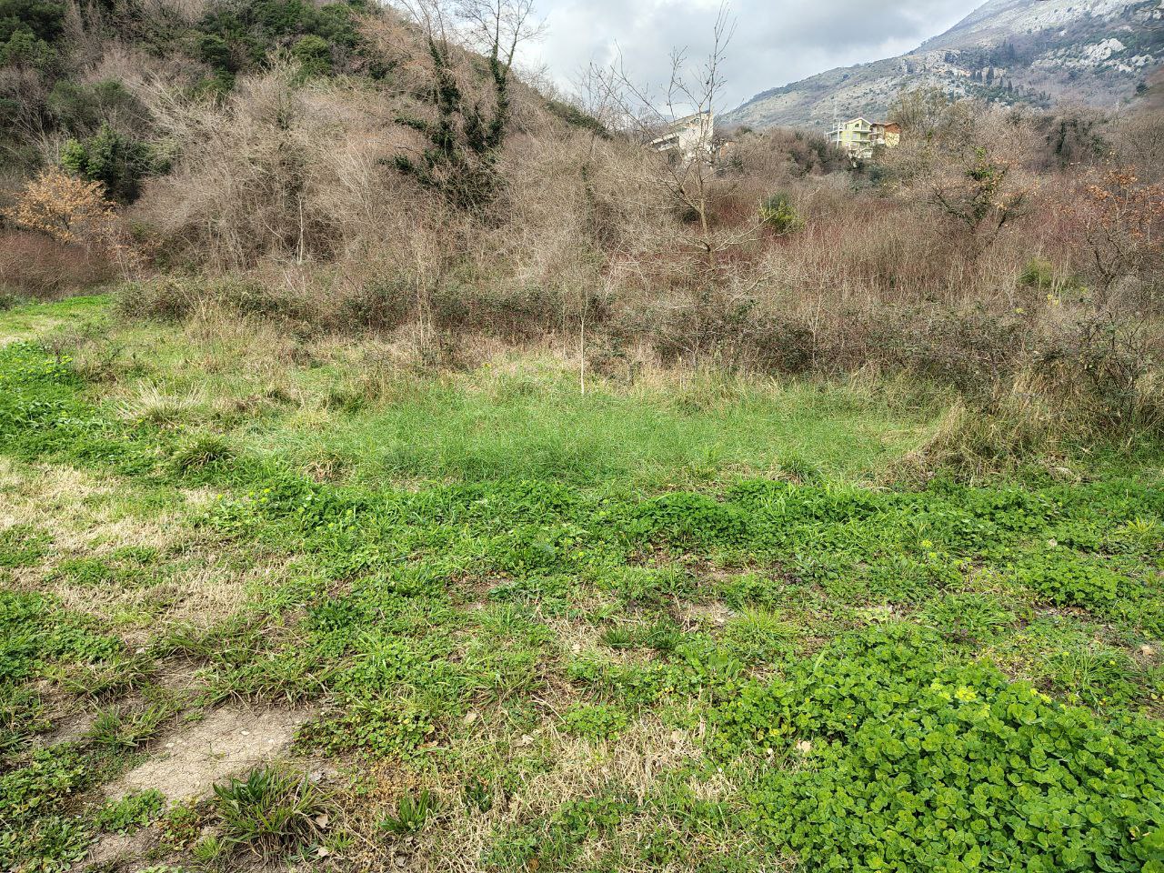 Земля в Булярице, Черногория, 4 858 сот. - фото 3