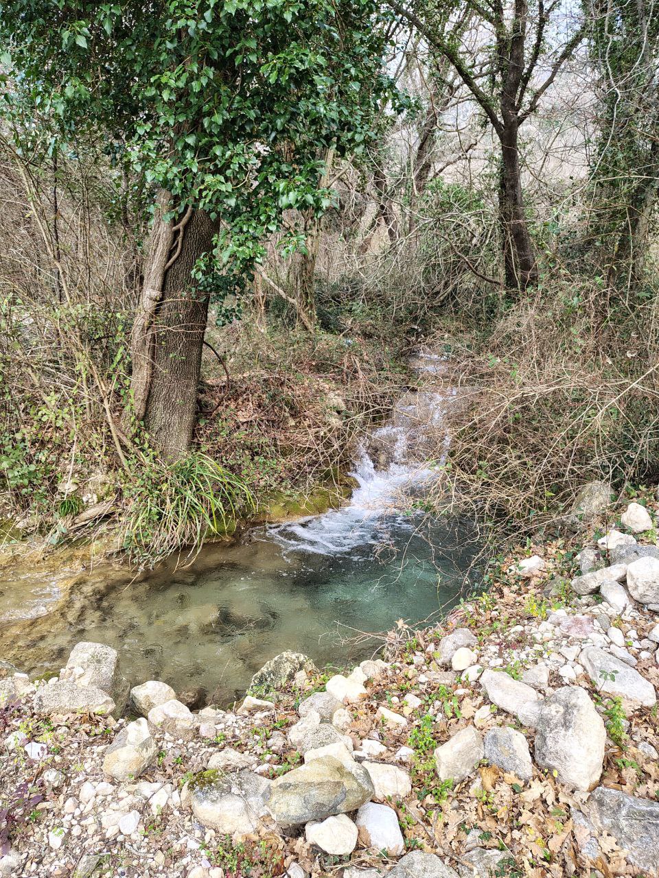 Земля в Булярице, Черногория, 4 858 сот. - фото 9