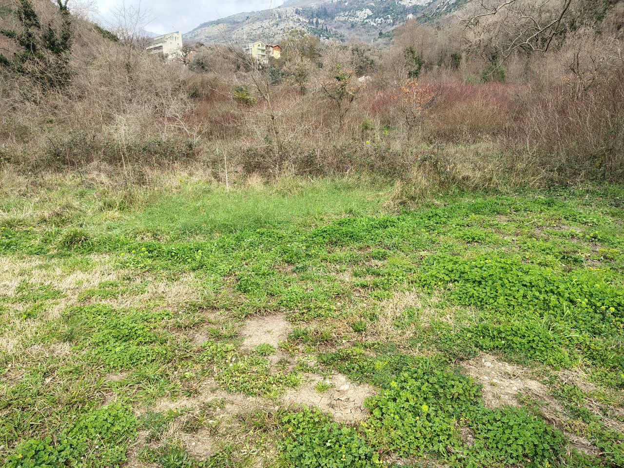 Земля в Булярице, Черногория, 4 858 сот. - фото 4