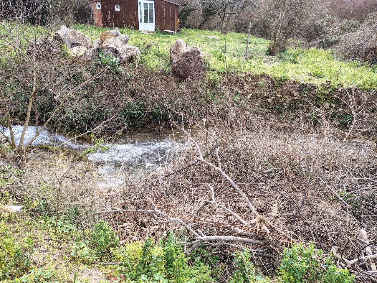 Земля в Булярице, Черногория, 4 858 сот. - фото 6