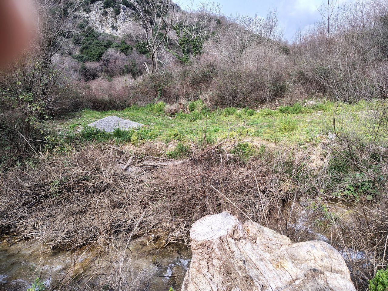 Земля в Булярице, Черногория, 4 858 сот. - фото 14