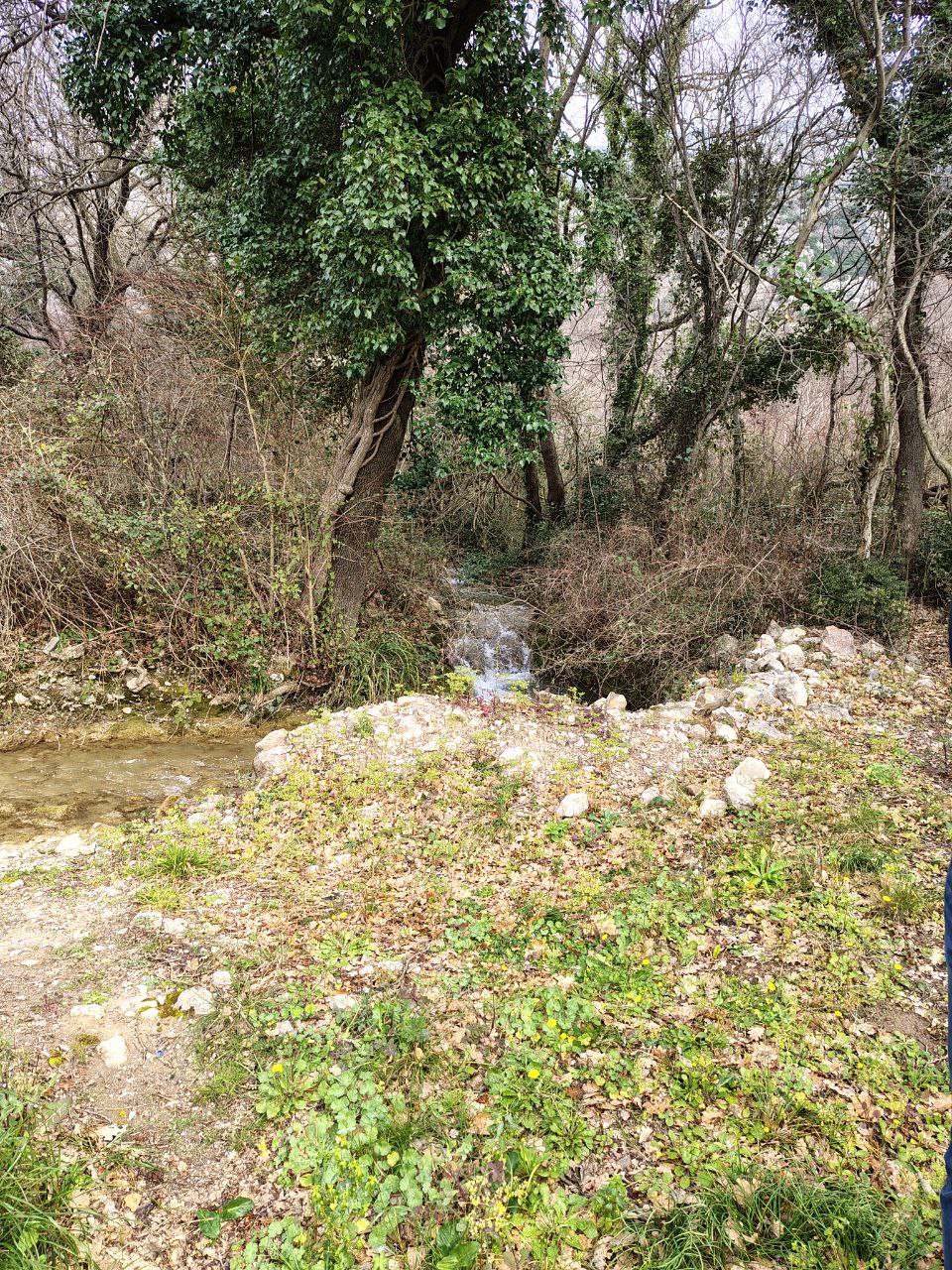 Земля в Булярице, Черногория, 4 858 сот. - фото 11