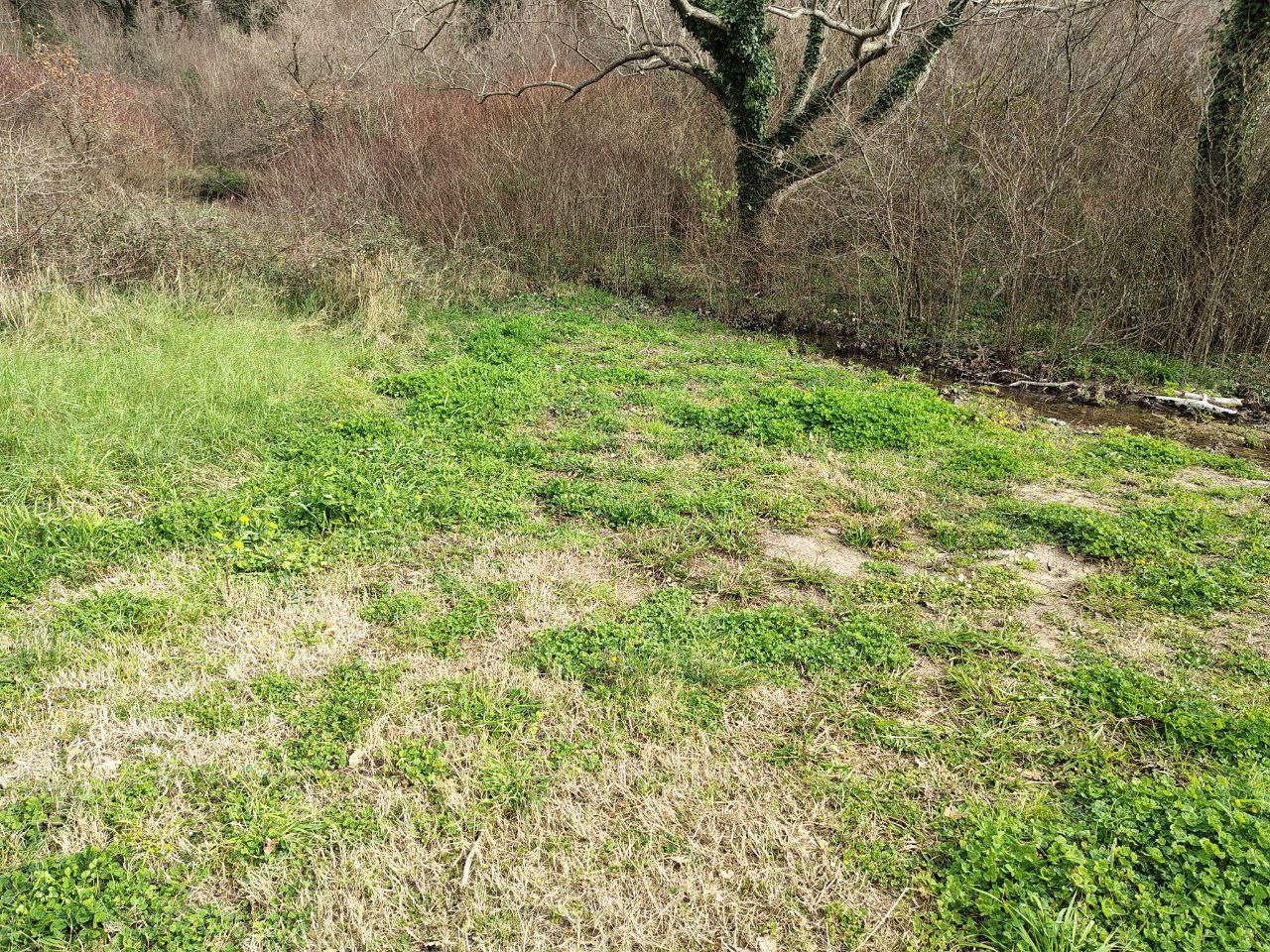 Земля в Булярице, Черногория, 4 858 сот. - фото 16