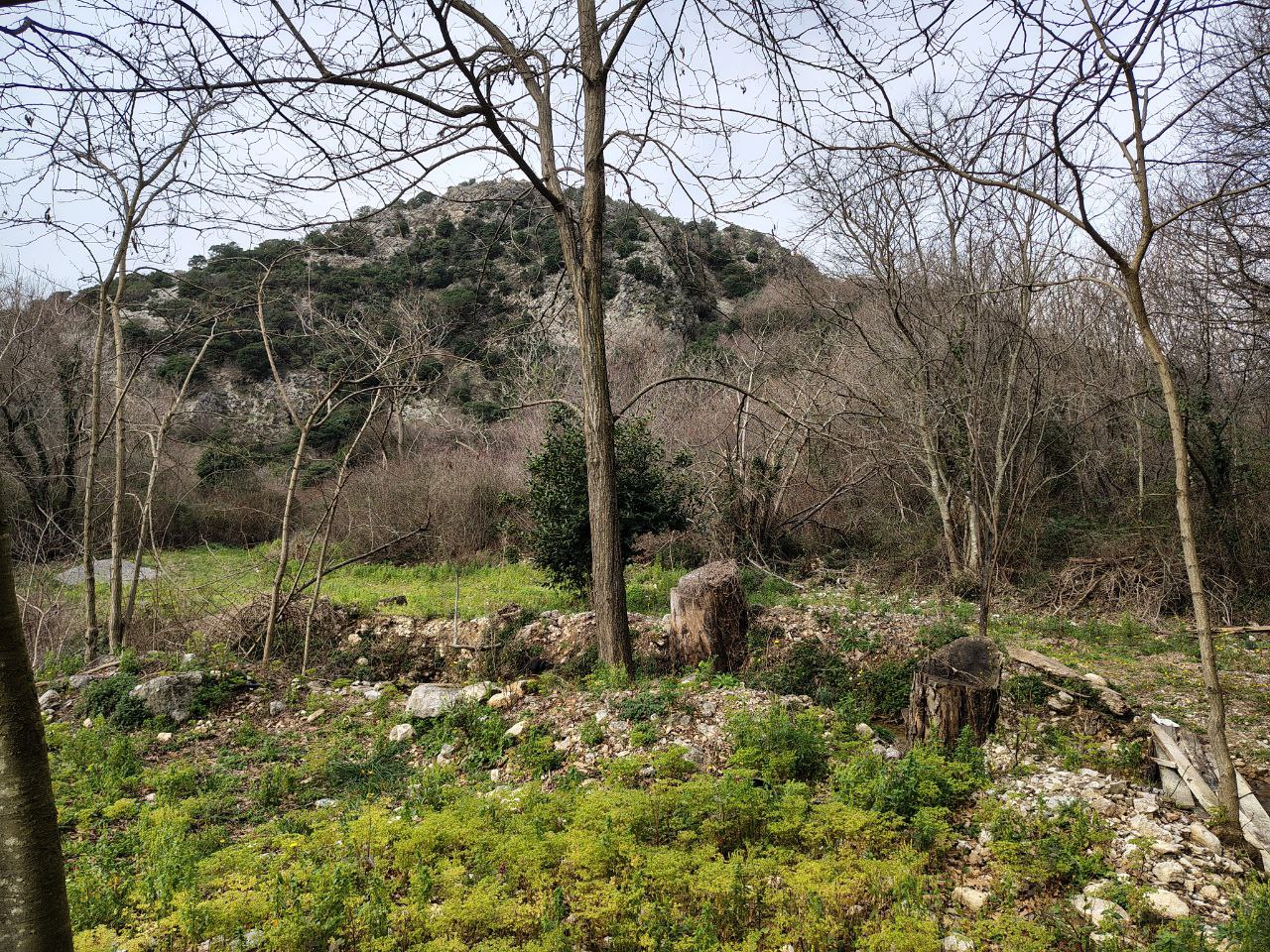 Земля в Булярице, Черногория, 4 858 сот. - фото 10