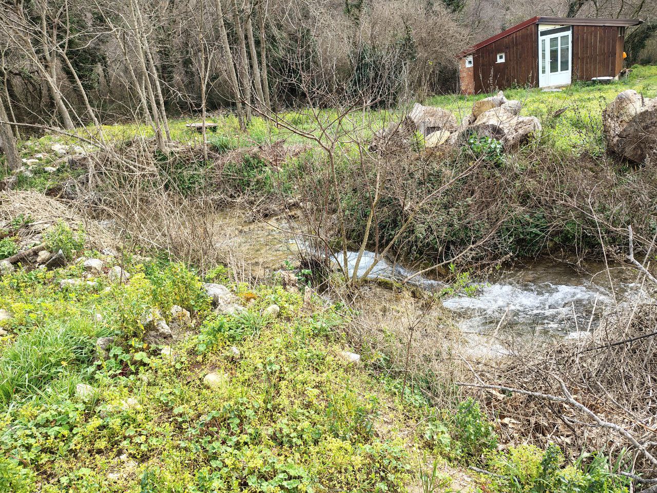 Земля в Булярице, Черногория, 4 858 сот. - фото 5