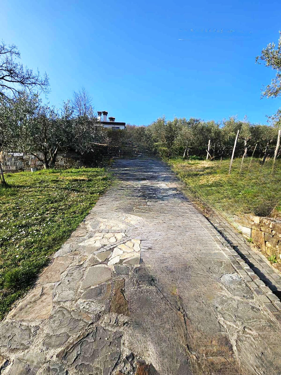 Дом в Копере, Словения, 262 м² - фото 2