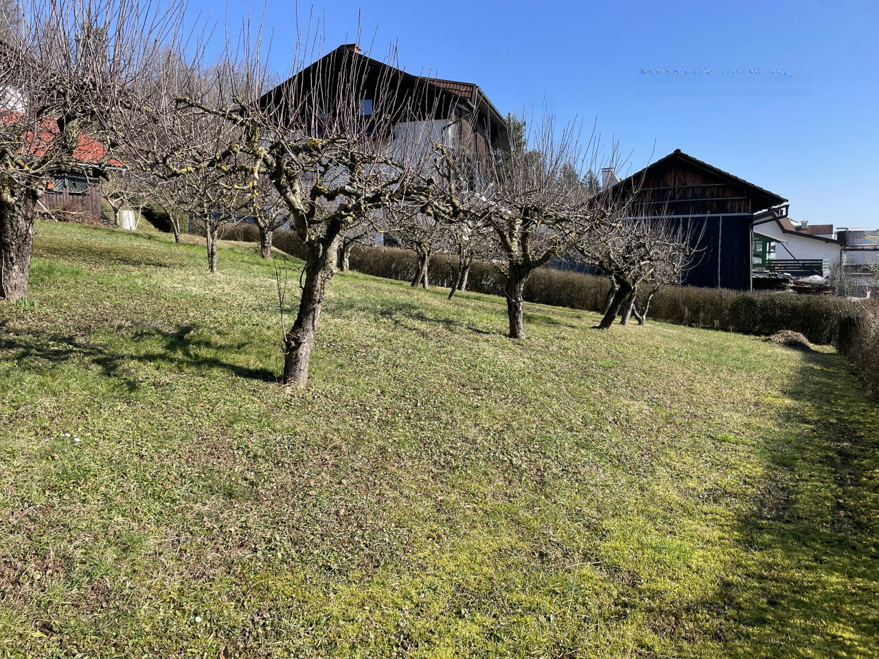 Земля в Любляне, Словения, 552 м² - фото 3