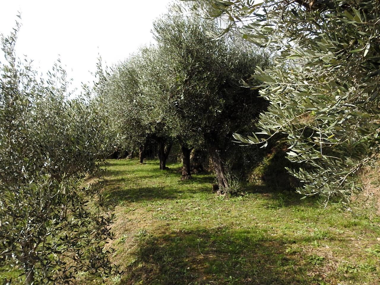 Дом в Луции, Словения, 325 м² - фото 5