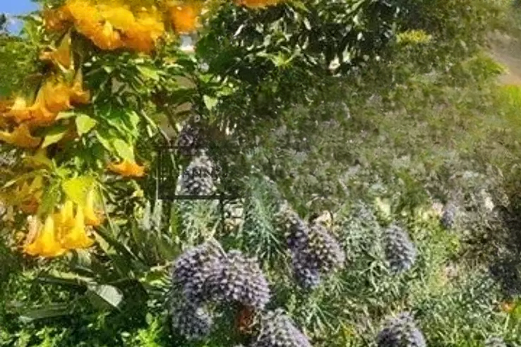 Квартира в Каннах, Франция, 226 м² - фото 7