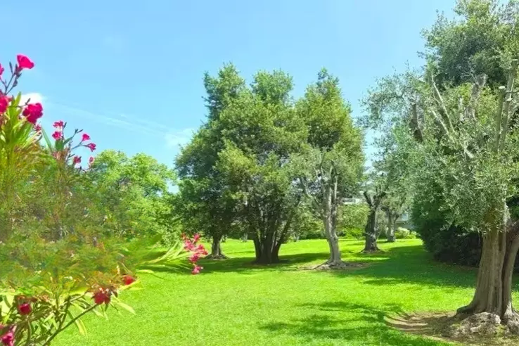 Квартира в Каннах, Франция, 38 м² - фото 2