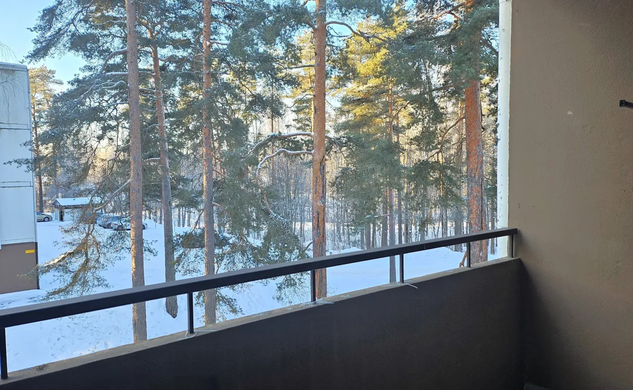 Квартира в Хейнола, Финляндия, 77 м² - фото 14