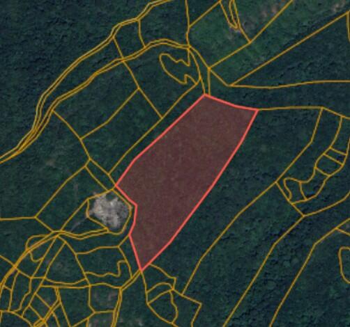 Земля в Ластве, Черногория, 16 683 м² - фото 7