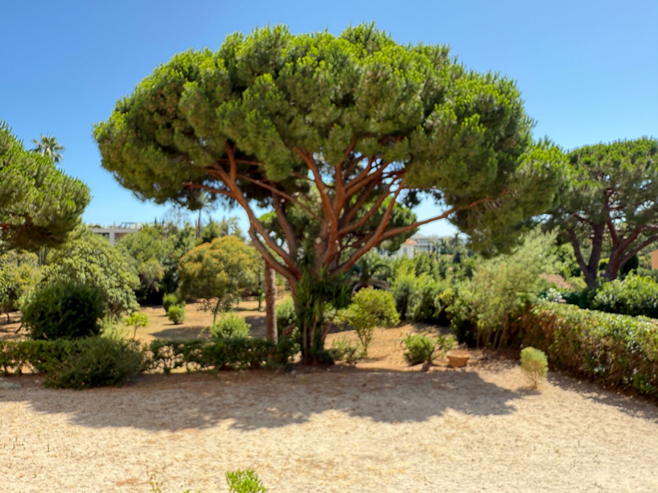 Квартира в Каннах, Франция, 150 м² - фото 11