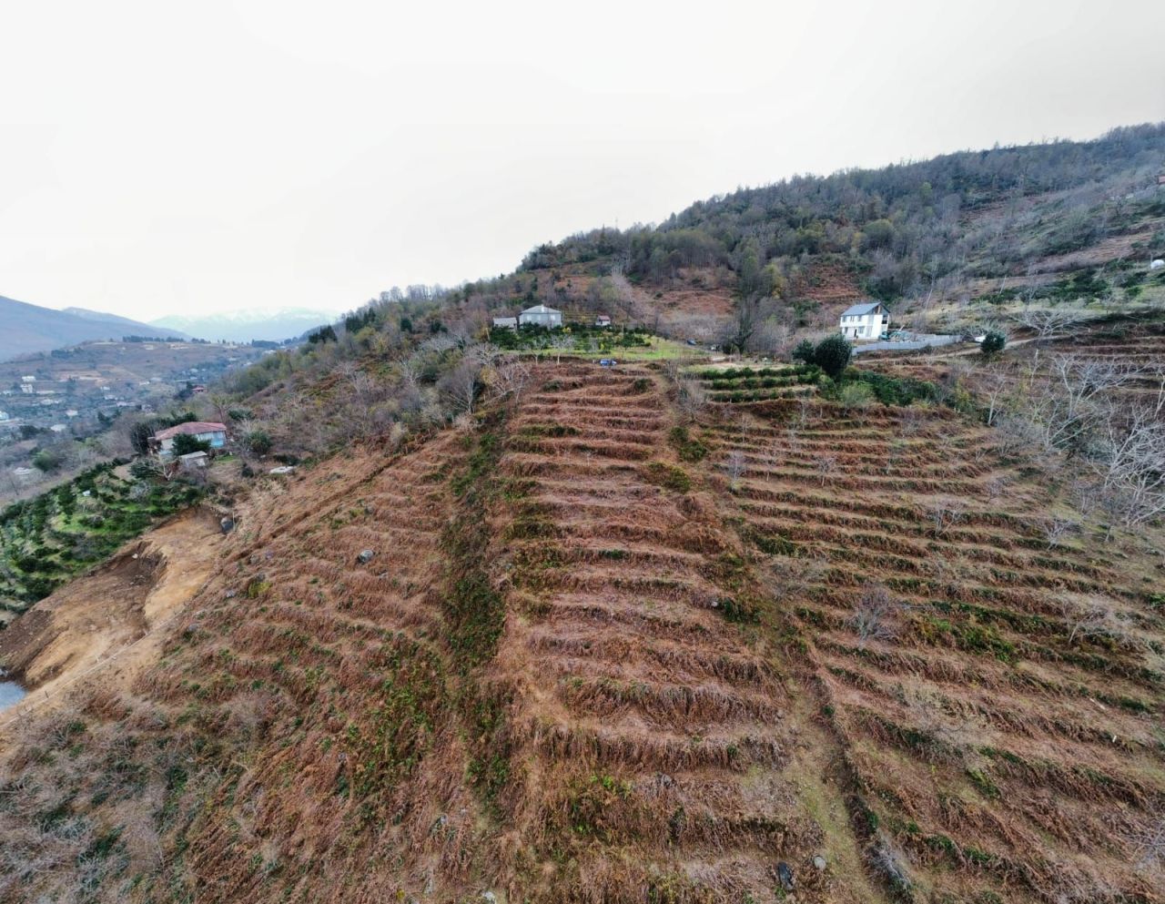 Земля в Батуми, Грузия, 5 000 м² - фото 6