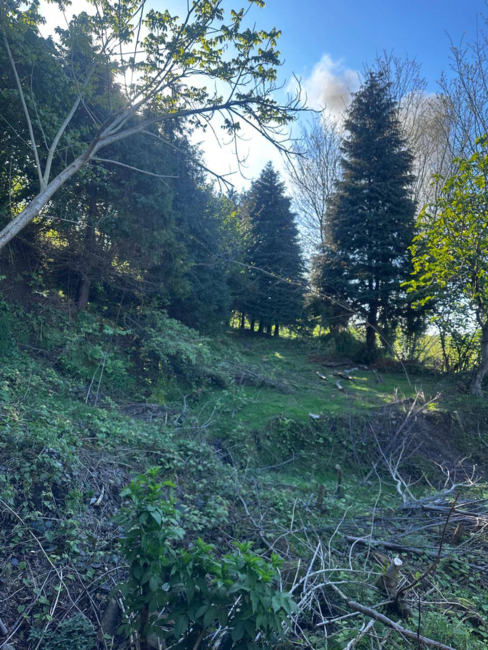 Дом в Батуми, Грузия, 243 м² - фото 3