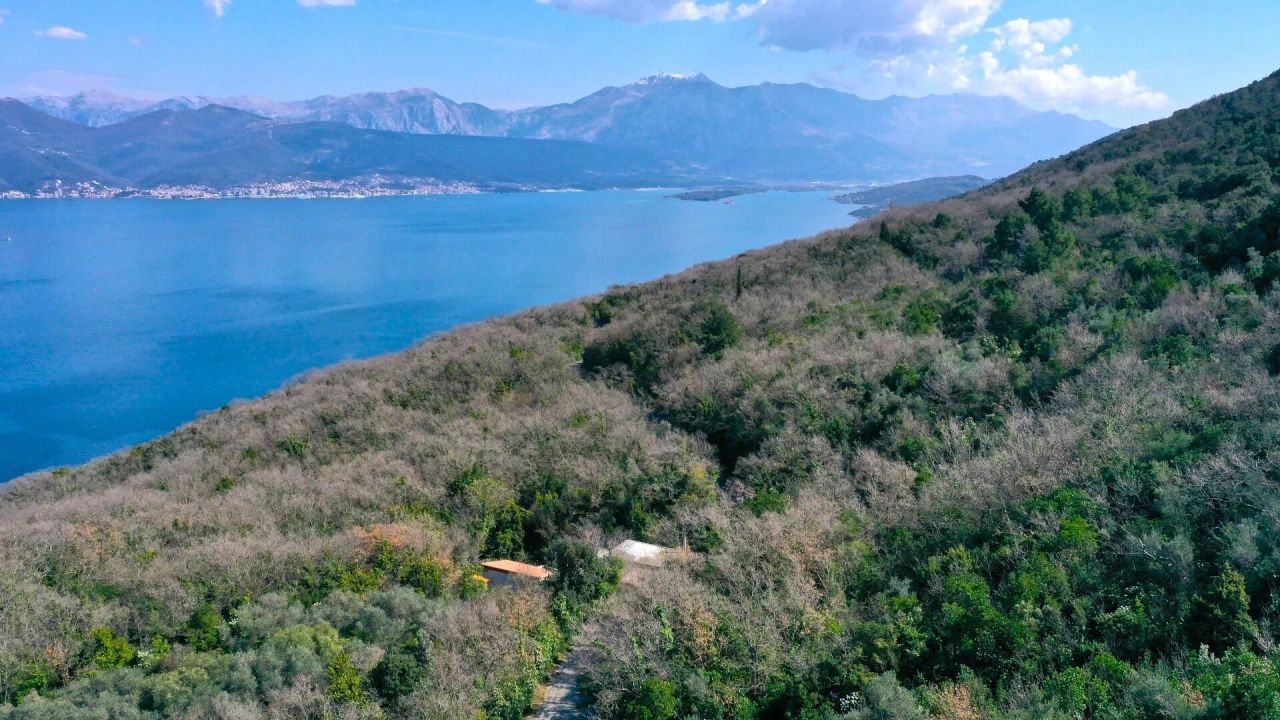 Земля на полуострове Луштица, Черногория, 1 102 м² - фото 1