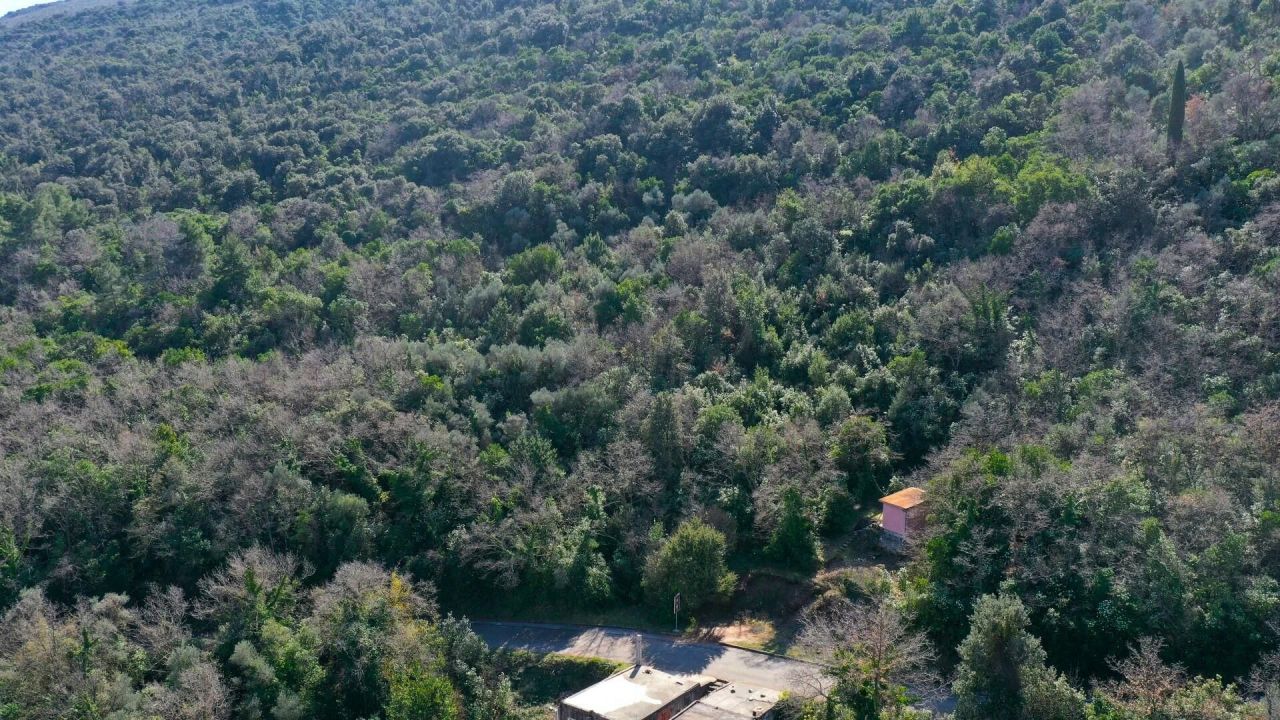 Земля на полуострове Луштица, Черногория, 1 102 м² - фото 2