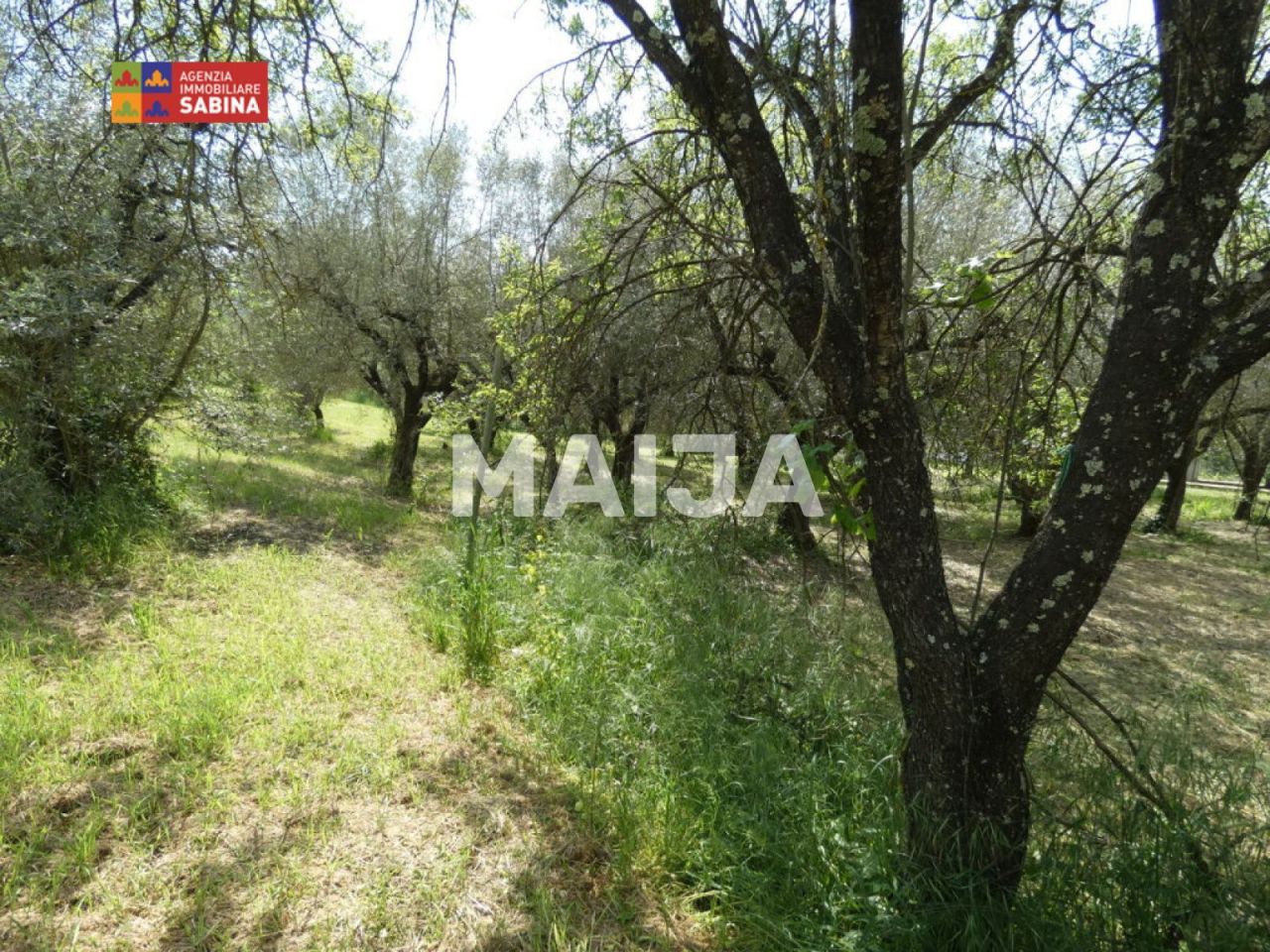 Вилла в Риети, Италия, 80 м² - фото 14