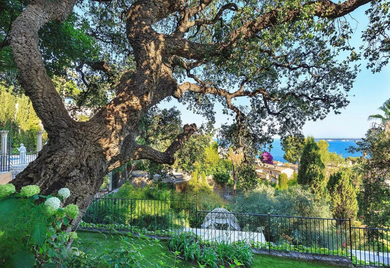 Квартира в Каннах, Франция, 360 м² - фото 7