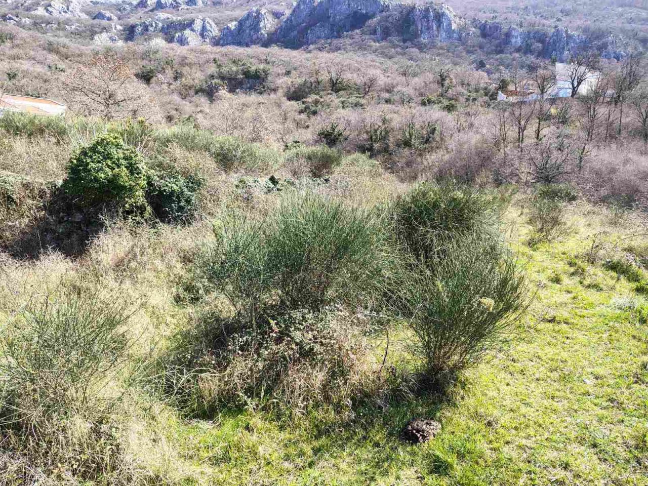 Земля в Кульаче, Черногория, 4 745 м² - фото 7