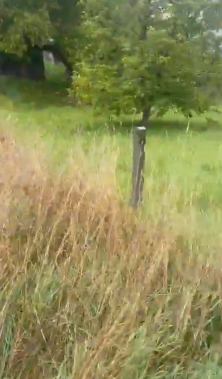 Земля в Колашине, Черногория, 647 м² - фото 4