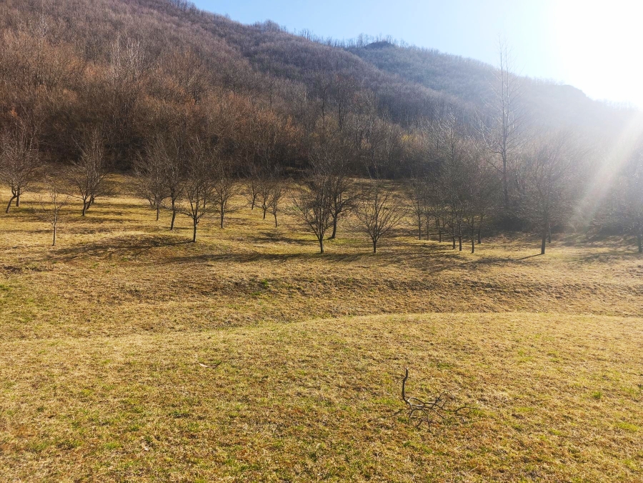 Земля в Колашине, Черногория, 23 655 м² - фото 14