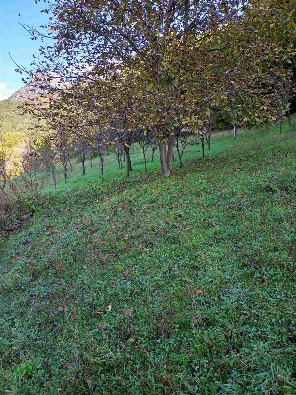 Земля в Колашине, Черногория, 23 655 м² - фото 15