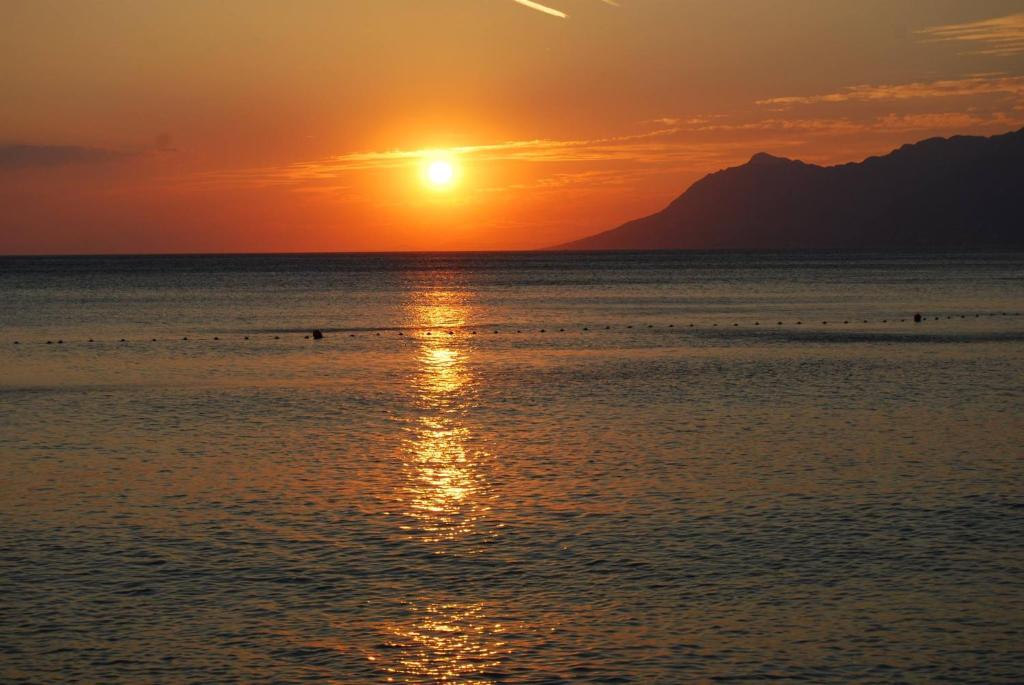 Отель, гостиница в Средней Далмации, Хорватия, 400 м² - фото 18