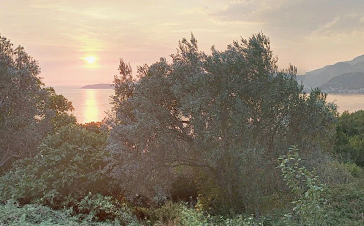 Земля в Святом Стефане, Черногория, 9 000 м² - фото 2
