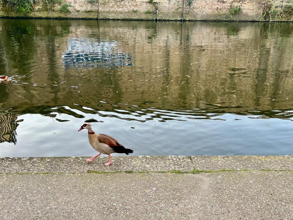 Квартира в Лондоне, Великобритания, 48 м² - фото 10