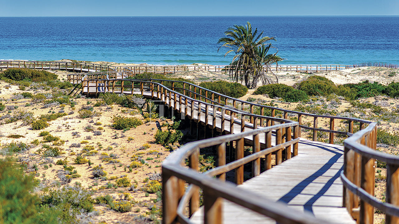 Апартаменты в Монфорте-дель-Сид, Испания, 116 м² - фото 11