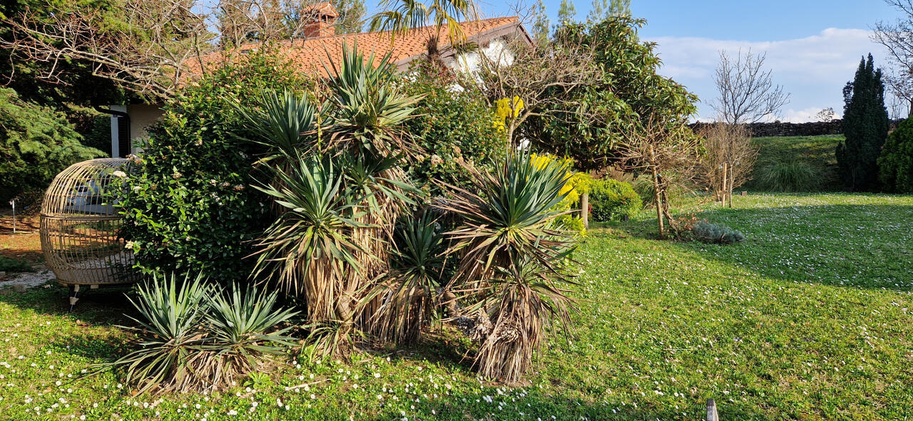 Дом в Копере, Словения, 82 м² - фото 6