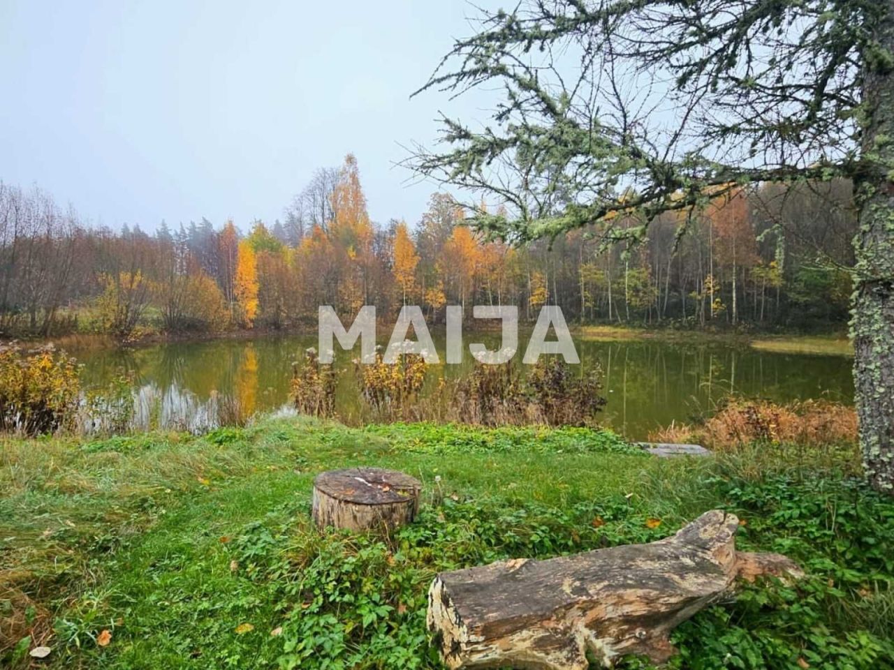 Дом Edole, Латвия, 484 м² - фото 2