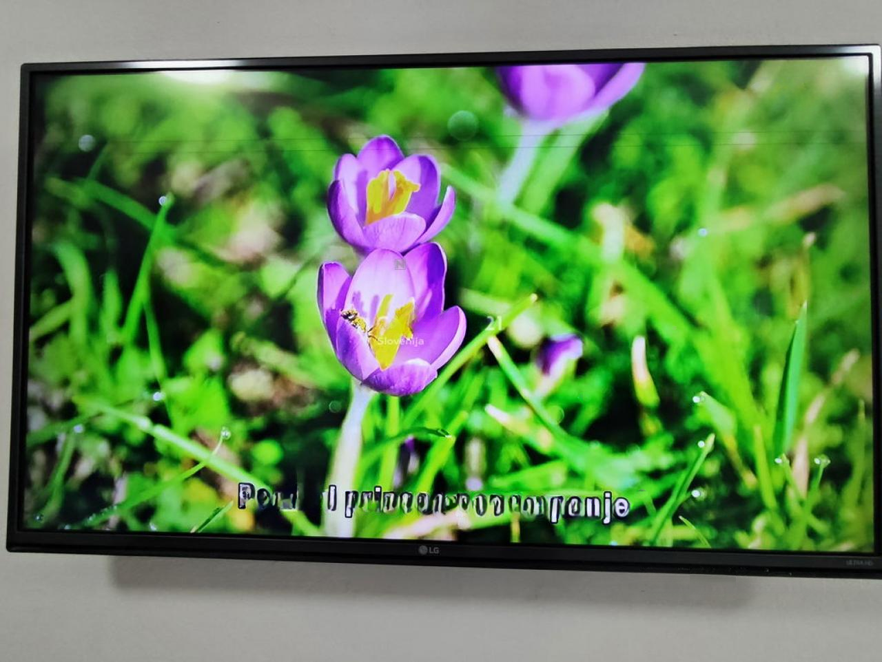 Квартира в Копере, Словения, 83 м² - фото 18