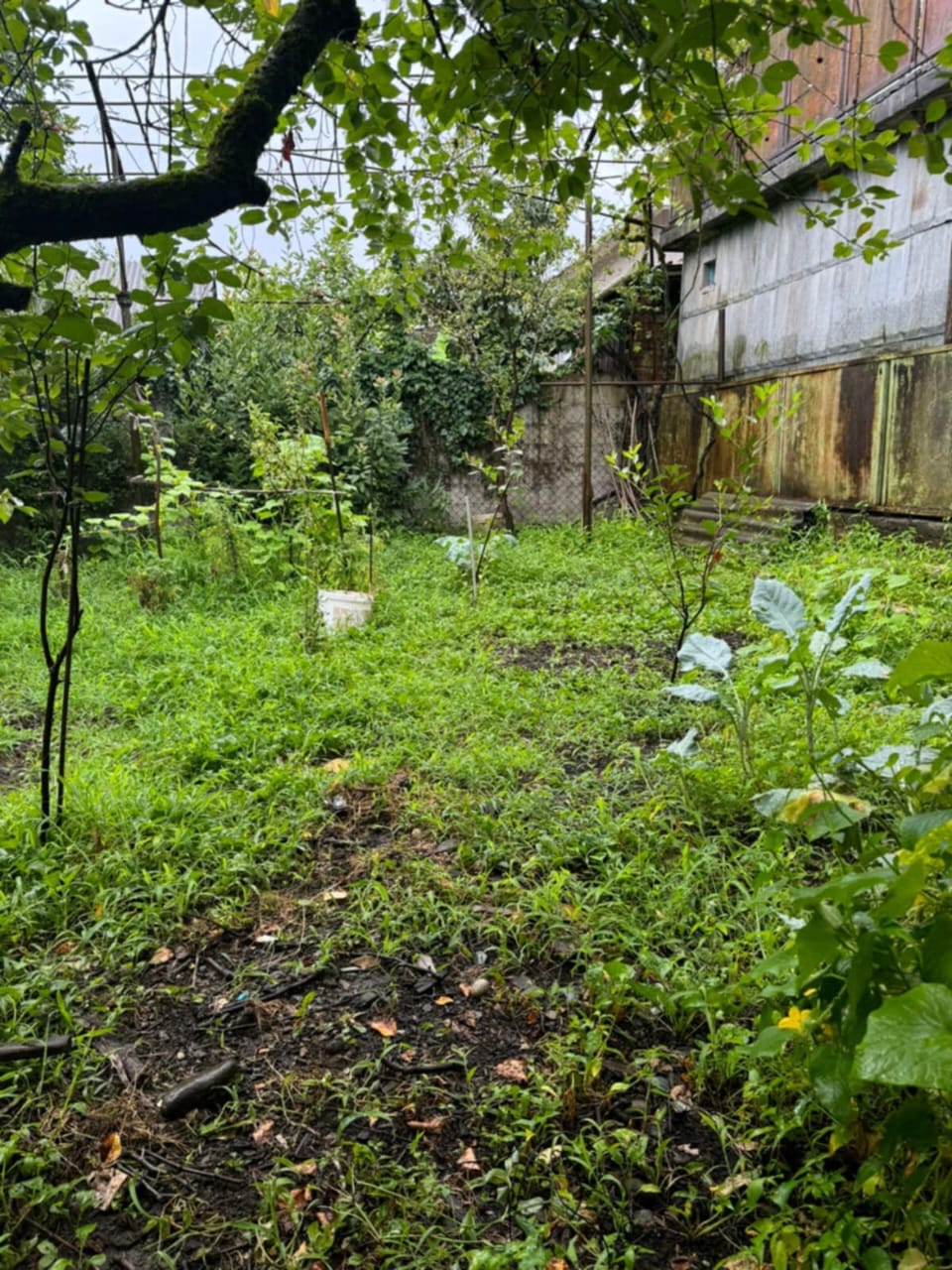 Дом в Батуми, Грузия, 120 м² - фото 2