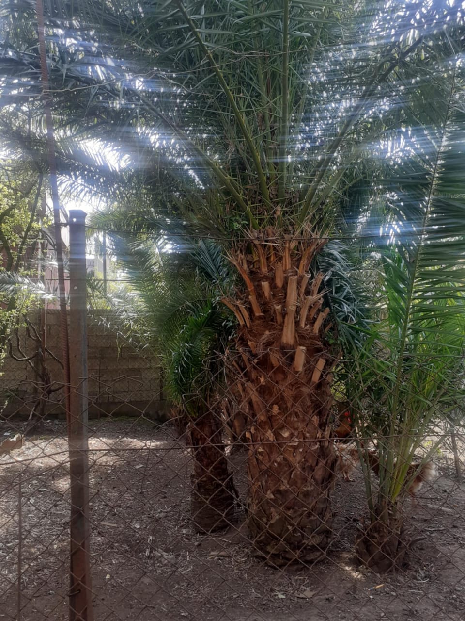 Дом в Батуми, Грузия, 120 м² - фото 6