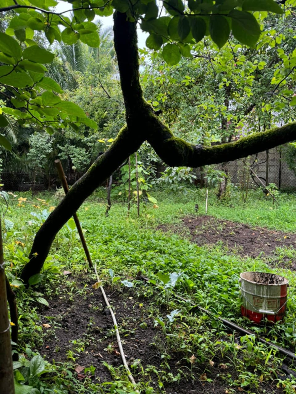 Дом в Батуми, Грузия, 120 м² - фото 3