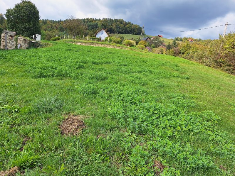 Земля в Севнице, Словения, 52 700 м² - фото 1