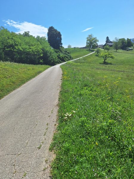 Земля в Севнице, Словения, 52 700 м² - фото 6