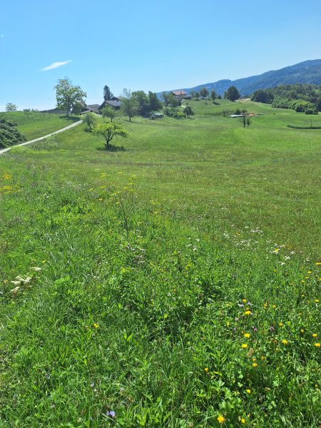 Земля в Севнице, Словения, 52 700 м² - фото 7