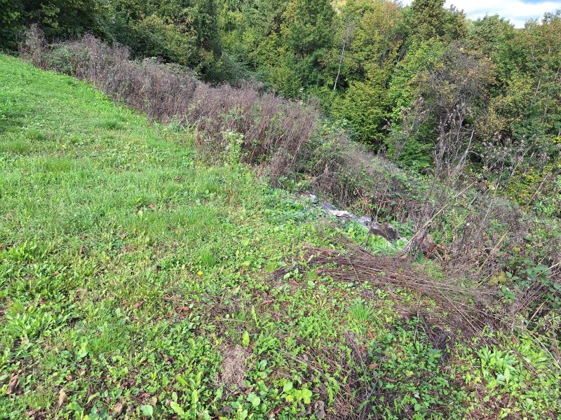 Земля в Севнице, Словения, 52 700 м² - фото 9