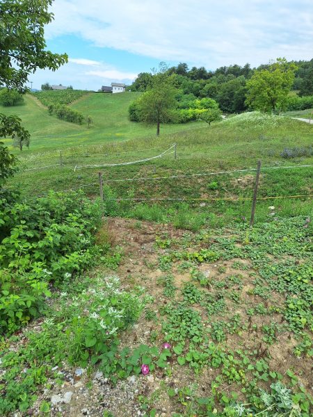 Земля в Севнице, Словения, 52 700 м² - фото 2