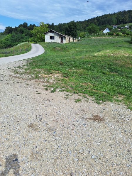 Земля в Севнице, Словения, 52 700 м² - фото 4