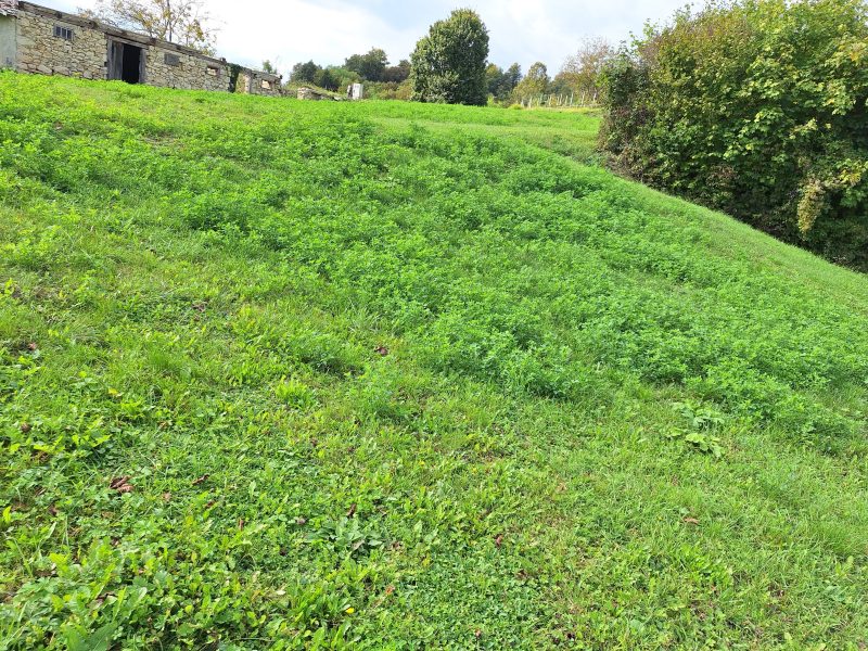 Земля в Севнице, Словения, 52 700 м² - фото 10