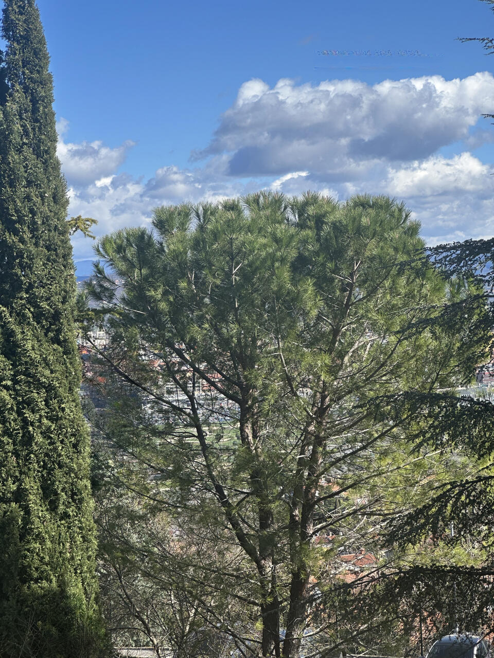 Квартира в Копере, Словения, 49 м² - фото 1