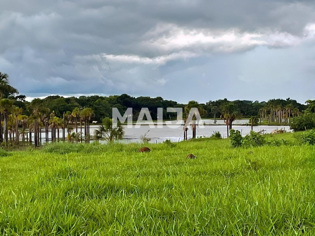 Земля Rio Verde, Бразилия, 20 500 000 м² - фото 1