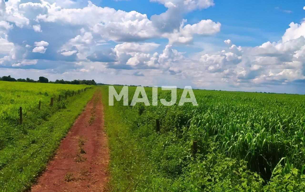 Земля Rio Verde, Бразилия, 20 500 000 м² - фото 2