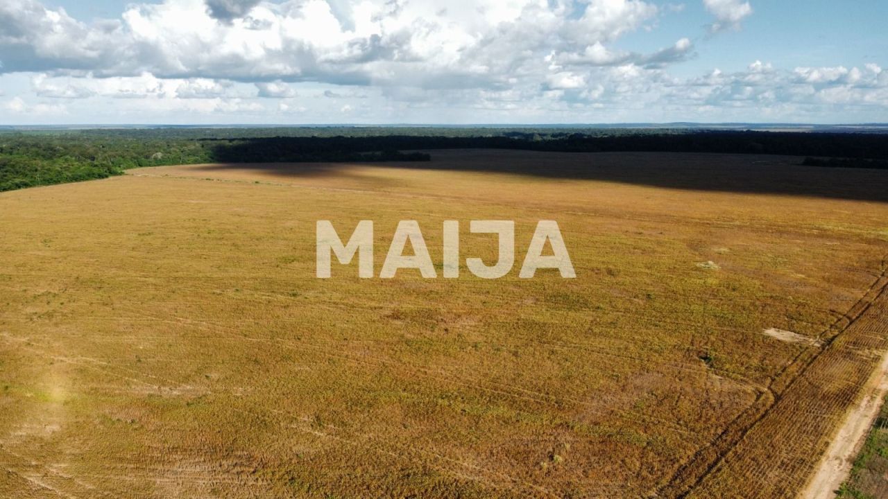 Земля Алта-Флореста, Бразилия - фото 3